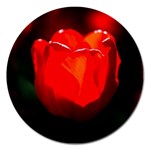 Red Tulip A Bowl Of Fire Magnet 5  (Round) Front