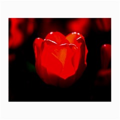 Red Tulip A Bowl Of Fire Small Glasses Cloth by FunnyCow