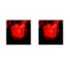 Red Tulip A Bowl Of Fire Cufflinks (square) by FunnyCow