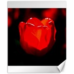 Red Tulip A Bowl Of Fire Canvas 16  x 20  15.75 x19.29  Canvas - 1