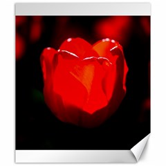 Red Tulip A Bowl Of Fire Canvas 20  X 24  by FunnyCow