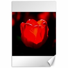 Red Tulip A Bowl Of Fire Canvas 24  X 36  by FunnyCow