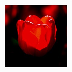 Red Tulip A Bowl Of Fire Medium Glasses Cloth (2-side) by FunnyCow