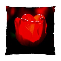 Red Tulip A Bowl Of Fire Standard Cushion Case (two Sides)