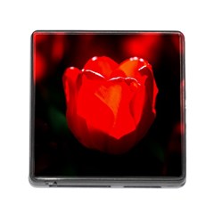 Red Tulip A Bowl Of Fire Memory Card Reader (square 5 Slot) by FunnyCow