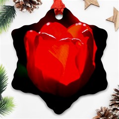 Red Tulip A Bowl Of Fire Ornament (snowflake) by FunnyCow