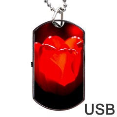 Red Tulip A Bowl Of Fire Dog Tag Usb Flash (one Side) by FunnyCow