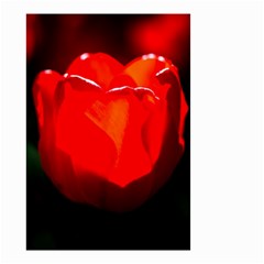 Red Tulip A Bowl Of Fire Small Garden Flag (two Sides) by FunnyCow