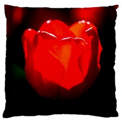 Red Tulip A Bowl Of Fire Large Cushion Case (two Sides) by FunnyCow