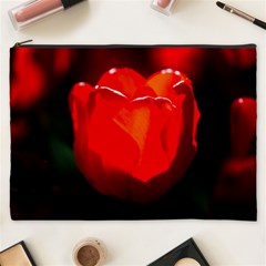 Red Tulip A Bowl Of Fire Cosmetic Bag (xxxl) by FunnyCow