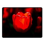 Red Tulip A Bowl Of Fire Double Sided Fleece Blanket (Small)  45 x34  Blanket Front