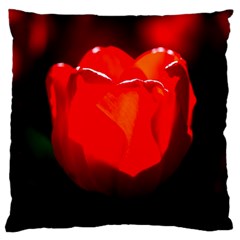 Red Tulip A Bowl Of Fire Standard Flano Cushion Case (two Sides) by FunnyCow