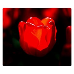 Red Tulip A Bowl Of Fire Double Sided Flano Blanket (small)  by FunnyCow