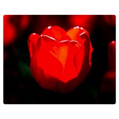 Red Tulip A Bowl Of Fire Double Sided Flano Blanket (medium)  by FunnyCow