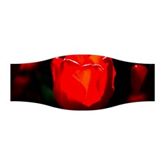 Red Tulip A Bowl Of Fire Stretchable Headband by FunnyCow