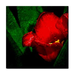 Red Tulip After The Shower Tile Coasters by FunnyCow