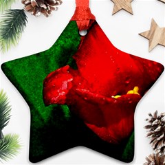 Red Tulip After The Shower Ornament (star) by FunnyCow