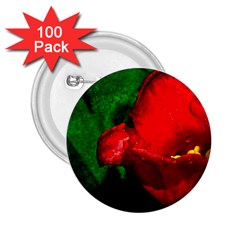 Red Tulip After The Shower 2 25  Buttons (100 Pack)  by FunnyCow