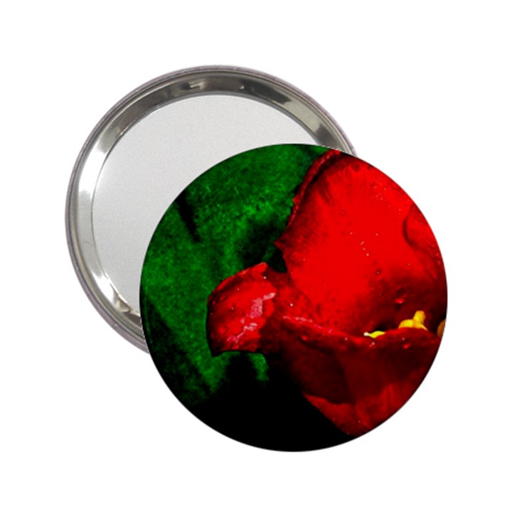 Red Tulip After The Shower 2.25  Handbag Mirrors