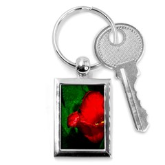 Red Tulip After The Shower Key Chains (rectangle)  by FunnyCow