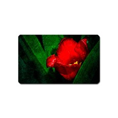 Red Tulip After The Shower Magnet (name Card) by FunnyCow