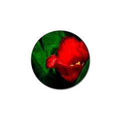 Red Tulip After The Shower Golf Ball Marker (10 Pack) by FunnyCow