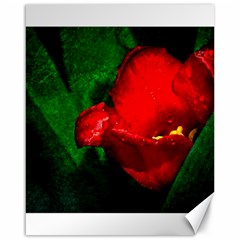 Red Tulip After The Shower Canvas 16  X 20  by FunnyCow