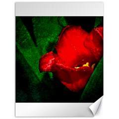 Red Tulip After The Shower Canvas 18  X 24  by FunnyCow