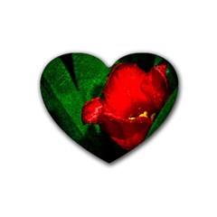 Red Tulip After The Shower Rubber Coaster (heart)  by FunnyCow