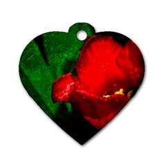 Red Tulip After The Shower Dog Tag Heart (one Side) by FunnyCow