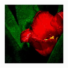 Red Tulip After The Shower Medium Glasses Cloth (2-side) by FunnyCow