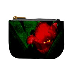 Red Tulip After The Shower Mini Coin Purse by FunnyCow