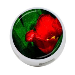 Red Tulip After The Shower 4-port Usb Hub (one Side) by FunnyCow