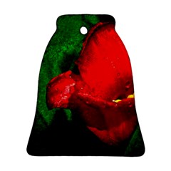 Red Tulip After The Shower Bell Ornament (two Sides) by FunnyCow