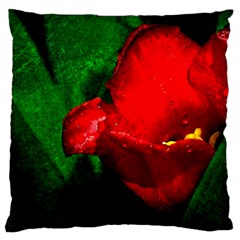 Red Tulip After The Shower Large Cushion Case (one Side) by FunnyCow