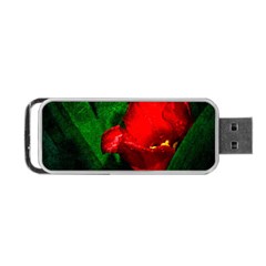 Red Tulip After The Shower Portable Usb Flash (two Sides) by FunnyCow