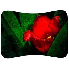 Red Tulip After The Shower Velour Seat Head Rest Cushion by FunnyCow