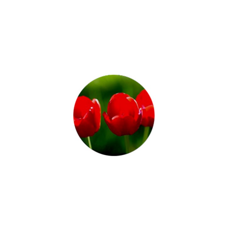 Three Red Tulips, Green Background 1  Mini Buttons