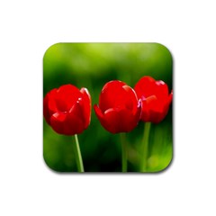 Three Red Tulips, Green Background Rubber Coaster (square)  by FunnyCow