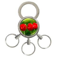 Three Red Tulips, Green Background 3-ring Key Chains by FunnyCow