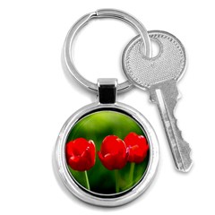 Three Red Tulips, Green Background Key Chains (round)  by FunnyCow