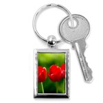 Three Red Tulips, Green Background Key Chains (Rectangle)  Front