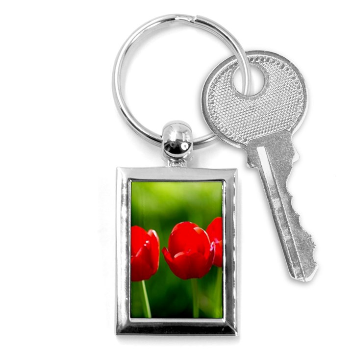 Three Red Tulips, Green Background Key Chains (Rectangle) 