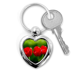 Three Red Tulips, Green Background Key Chains (heart)  by FunnyCow