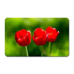 Three Red Tulips, Green Background Magnet (rectangular) by FunnyCow