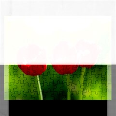 Three Red Tulips, Green Background Rectangular Jigsaw Puzzl by FunnyCow