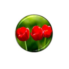 Three Red Tulips, Green Background Hat Clip Ball Marker (10 Pack) by FunnyCow