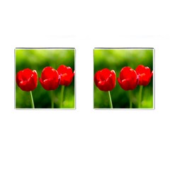 Three Red Tulips, Green Background Cufflinks (square) by FunnyCow