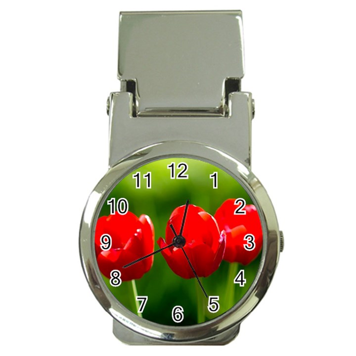 Three Red Tulips, Green Background Money Clip Watches