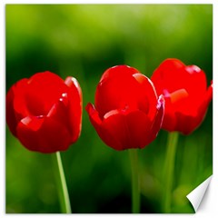 Three Red Tulips, Green Background Canvas 12  X 12  by FunnyCow